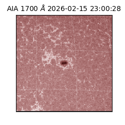 saia - 2026-02-15T23:00:28.717000