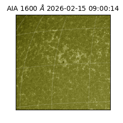 saia - 2026-02-15T09:00:14.125000