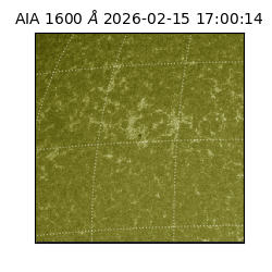 saia - 2026-02-15T17:00:14.126000