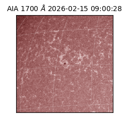 saia - 2026-02-15T09:00:28.721000