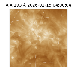 saia - 2026-02-15T04:00:04.843000