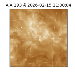 saia - 2026-02-15T11:00:04.843000