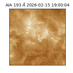 saia - 2026-02-15T19:00:04.843000