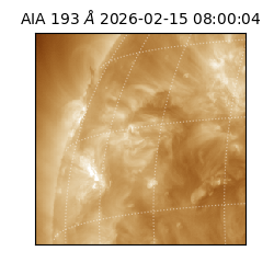 saia - 2026-02-15T08:00:04.842000