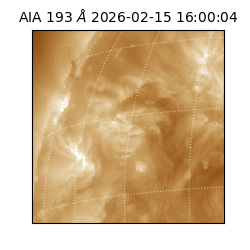 saia - 2026-02-15T16:00:04.844000