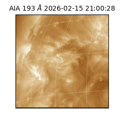 saia - 2026-02-15T21:00:28.843000