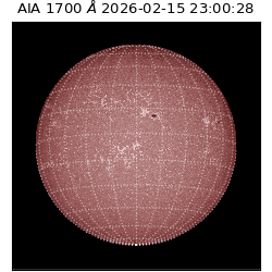 saia - 2026-02-15T23:00:28.717000