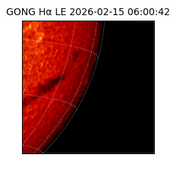 gong - 2026-02-15T06:00:42