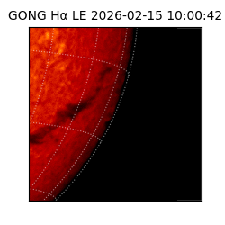 gong - 2026-02-15T10:00:42