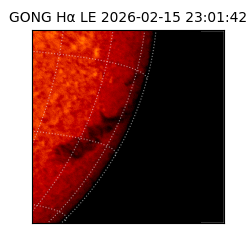 gong - 2026-02-15T23:01:42
