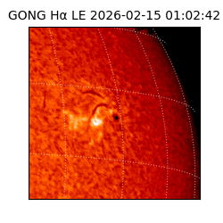 gong - 2026-02-15T01:02:42