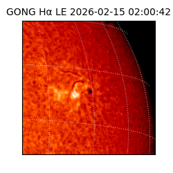 gong - 2026-02-15T02:00:42