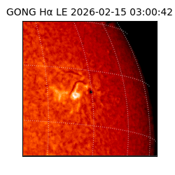 gong - 2026-02-15T03:00:42