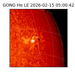 gong - 2026-02-15T05:00:42