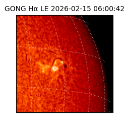 gong - 2026-02-15T06:00:42