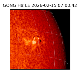 gong - 2026-02-15T07:00:42