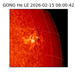 gong - 2026-02-15T08:00:42