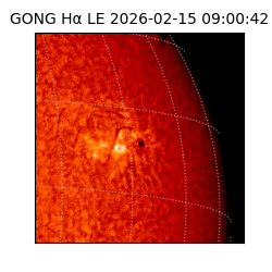 gong - 2026-02-15T09:00:42