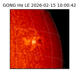 gong - 2026-02-15T10:00:42