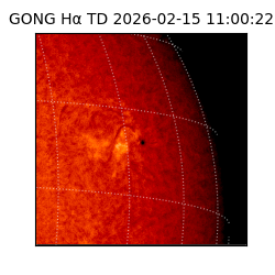 gong - 2026-02-15T11:00:22