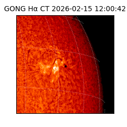 gong - 2026-02-15T12:00:42