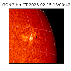 gong - 2026-02-15T13:00:42