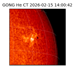 gong - 2026-02-15T14:00:42