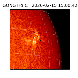 gong - 2026-02-15T15:00:42