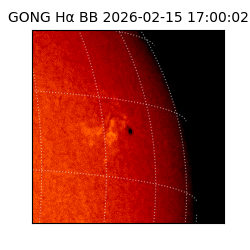 gong - 2026-02-15T17:00:02