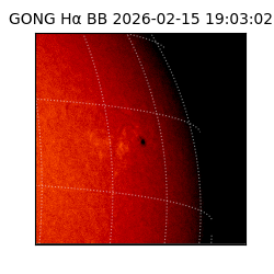 gong - 2026-02-15T19:03:02