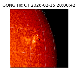 gong - 2026-02-15T20:00:42
