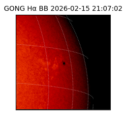 gong - 2026-02-15T21:07:02