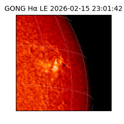 gong - 2026-02-15T23:01:42