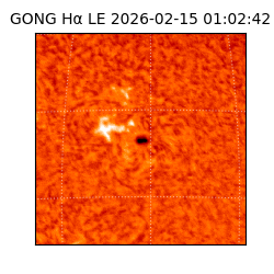 gong - 2026-02-15T01:02:42