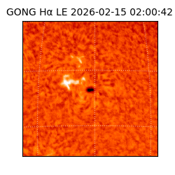 gong - 2026-02-15T02:00:42