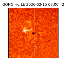 gong - 2026-02-15T03:00:42