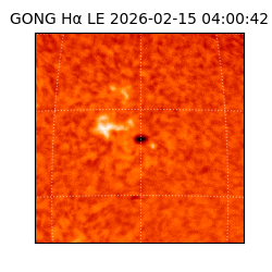 gong - 2026-02-15T04:00:42