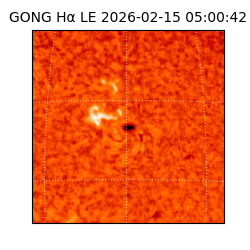 gong - 2026-02-15T05:00:42