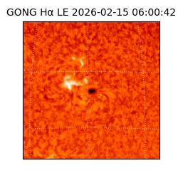 gong - 2026-02-15T06:00:42