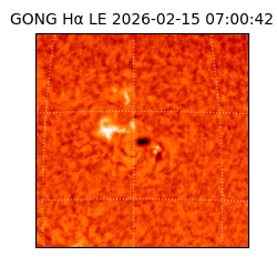 gong - 2026-02-15T07:00:42