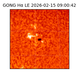 gong - 2026-02-15T09:00:42