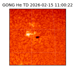 gong - 2026-02-15T11:00:22