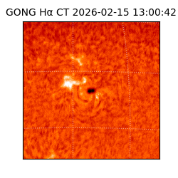 gong - 2026-02-15T13:00:42