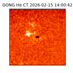 gong - 2026-02-15T14:00:42