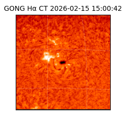 gong - 2026-02-15T15:00:42