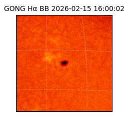 gong - 2026-02-15T16:00:02