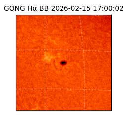 gong - 2026-02-15T17:00:02