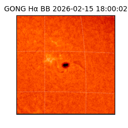 gong - 2026-02-15T18:00:02