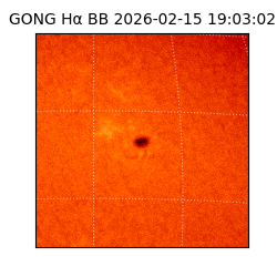 gong - 2026-02-15T19:03:02