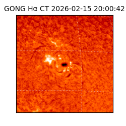 gong - 2026-02-15T20:00:42